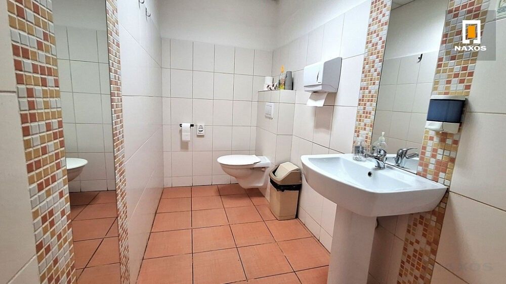 Pronájem komerčního prostoru 514 m² - foto 21