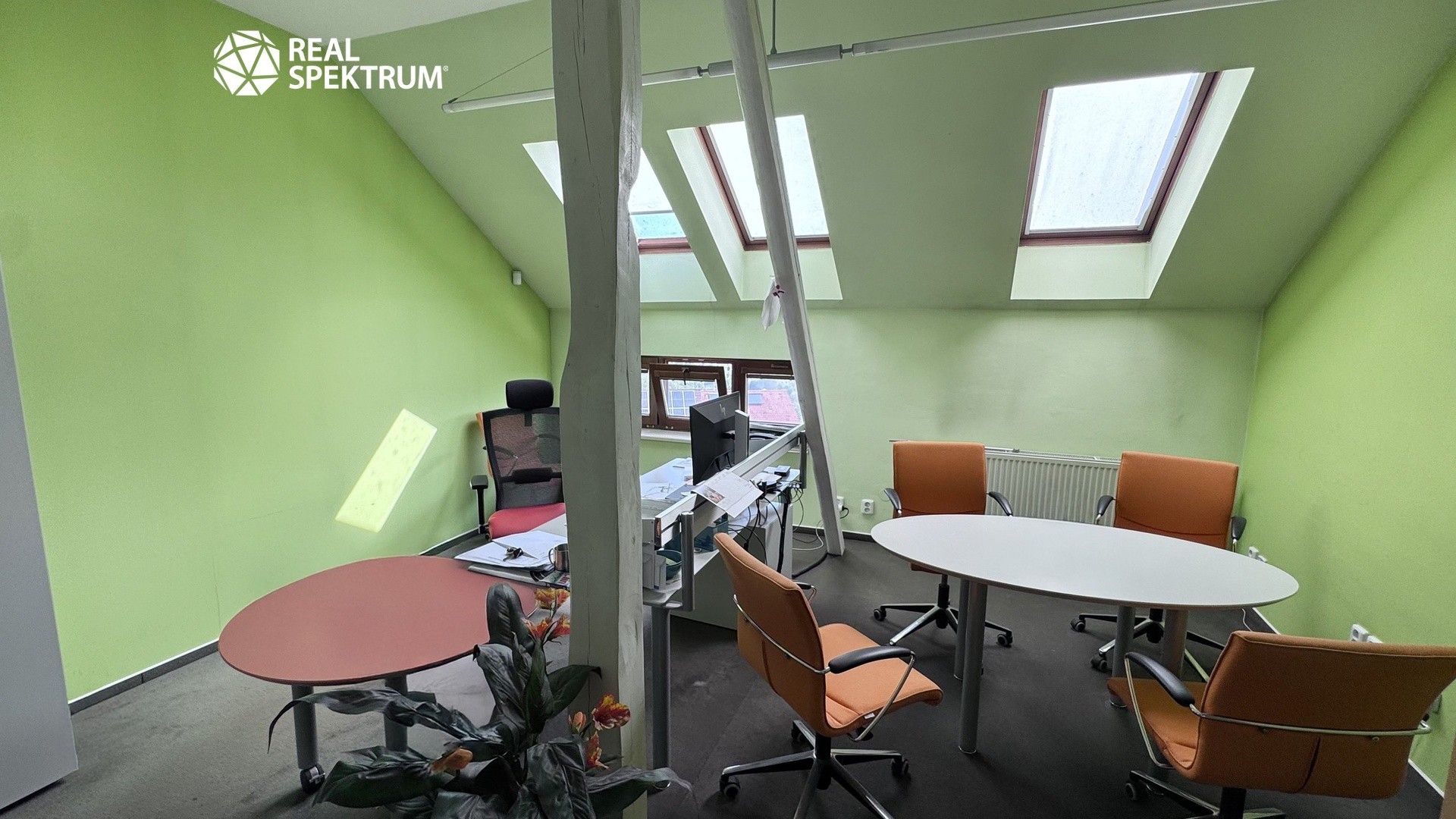 Prodej domu 515 m² - foto 17