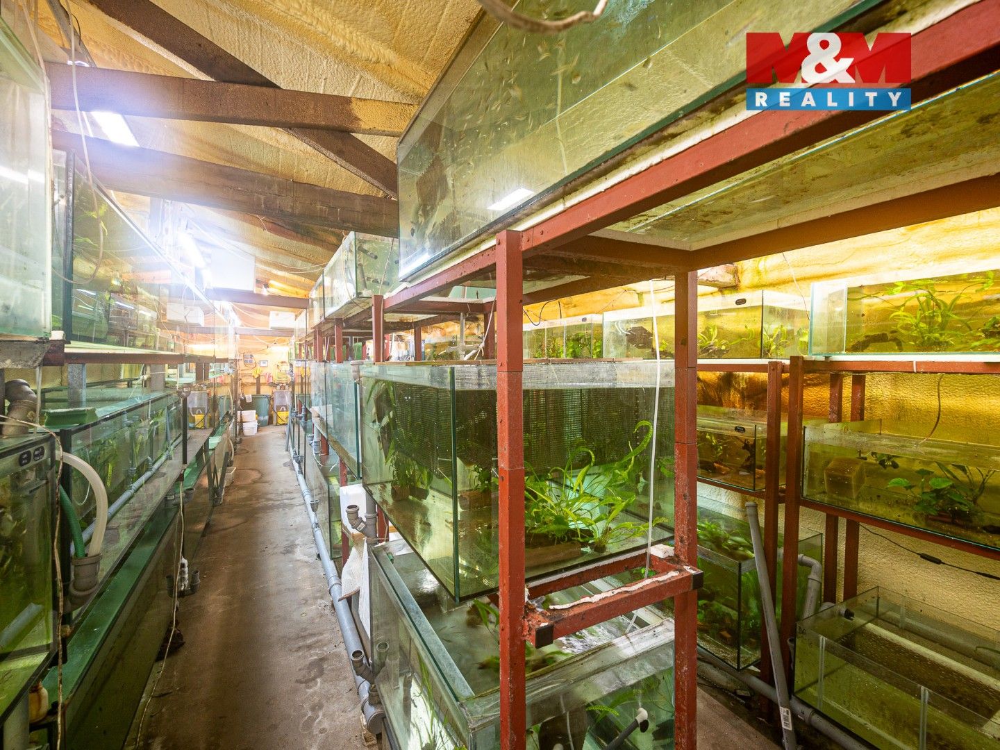 Pronájem komerčního prostoru 64 m² - foto 5