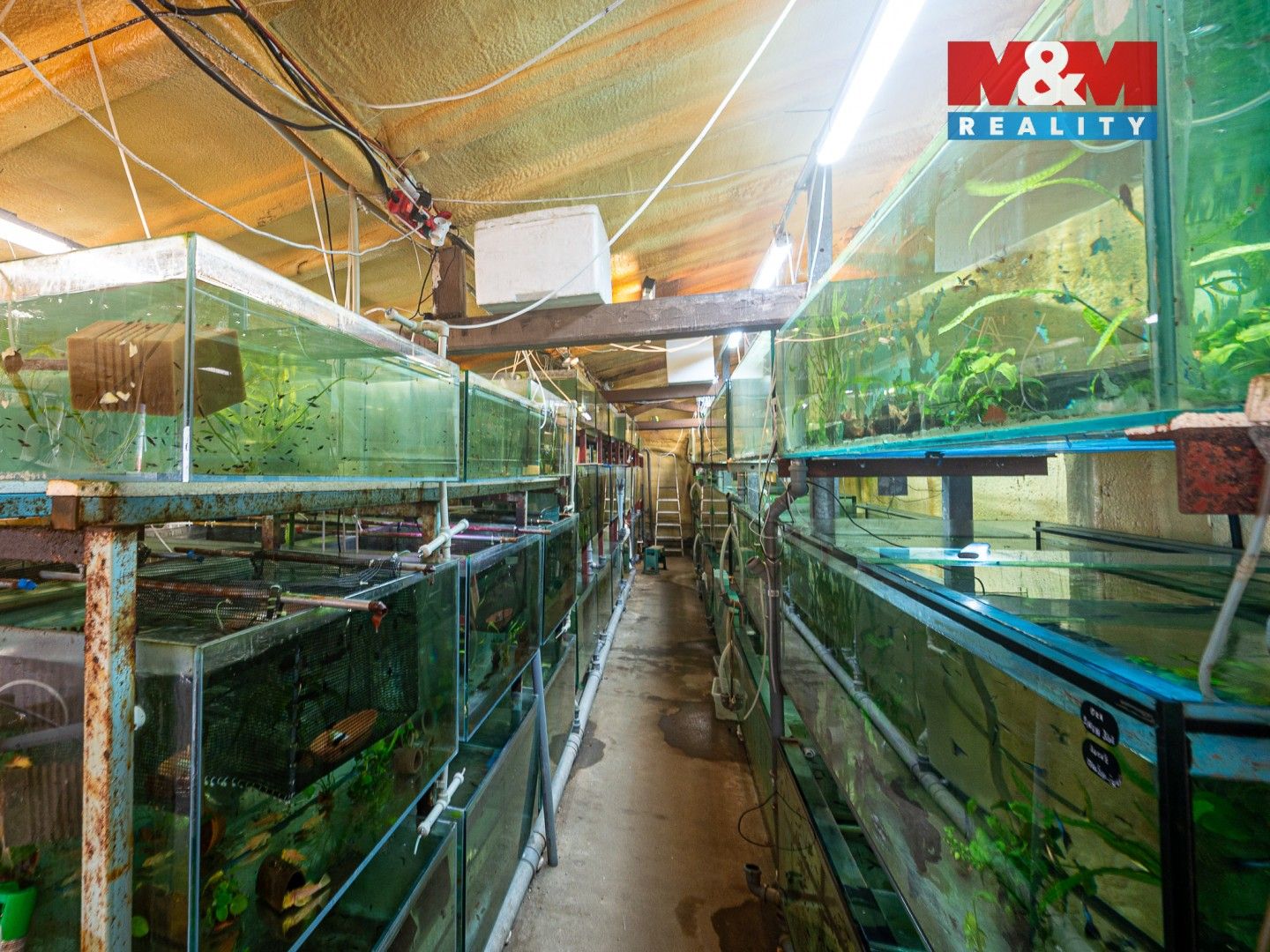 Pronájem komerčního prostoru 64 m² - foto 4
