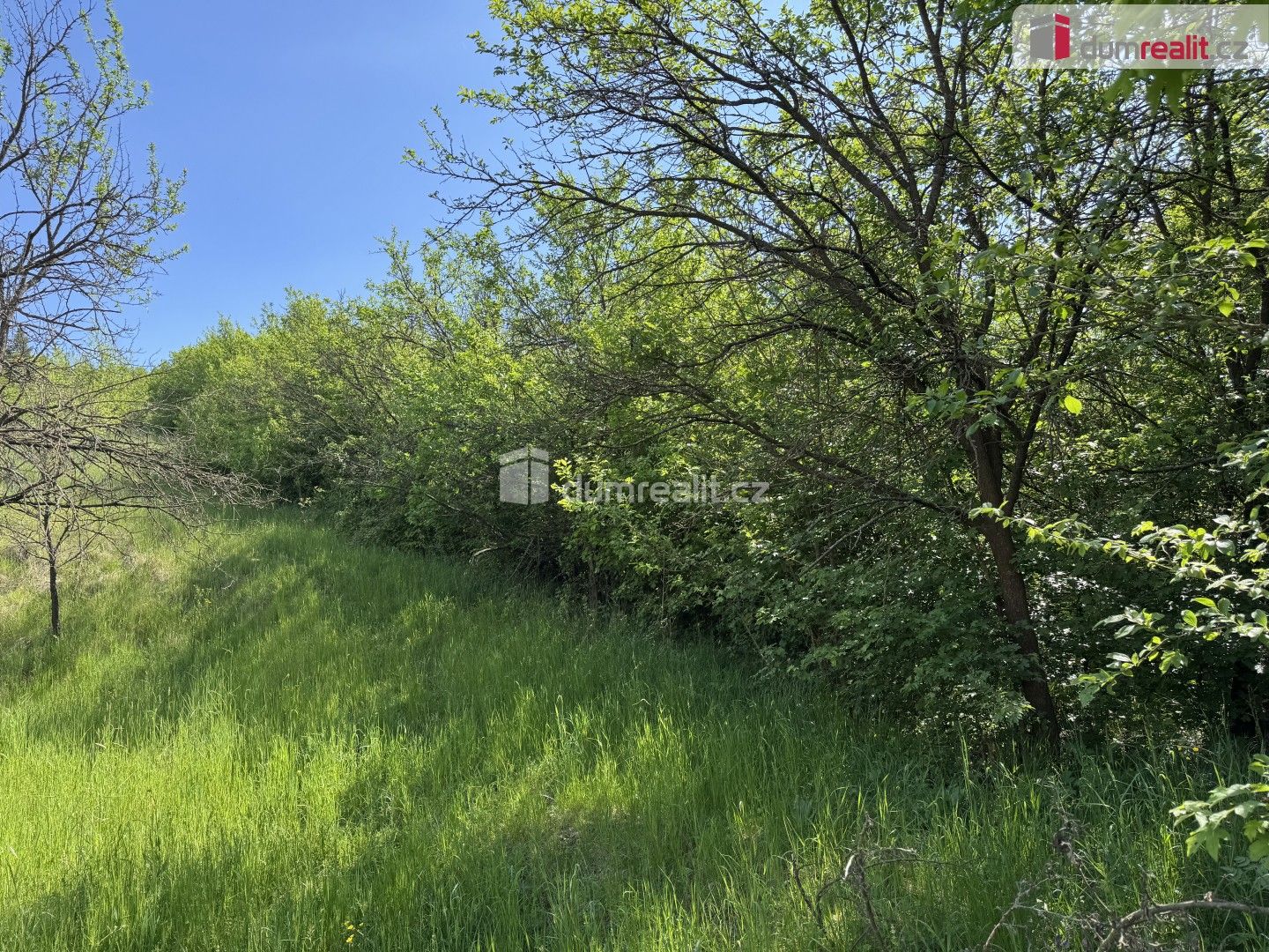 Prodej pozemku 5056 m² - foto 3