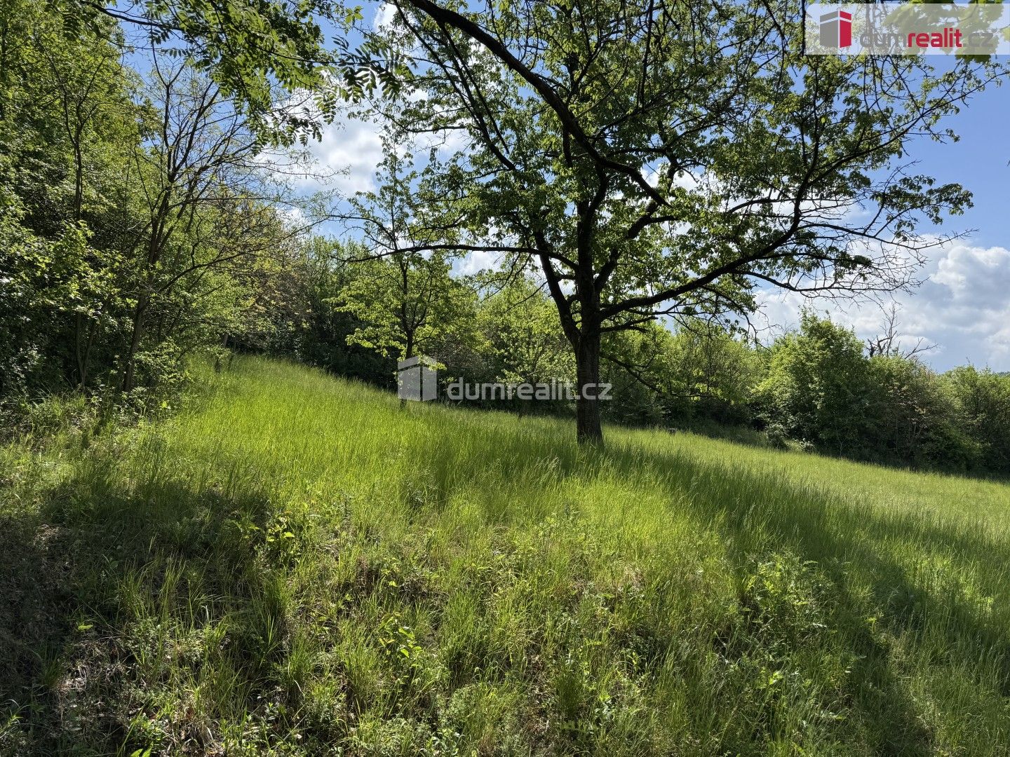 Prodej pozemku 5056 m² - foto 4