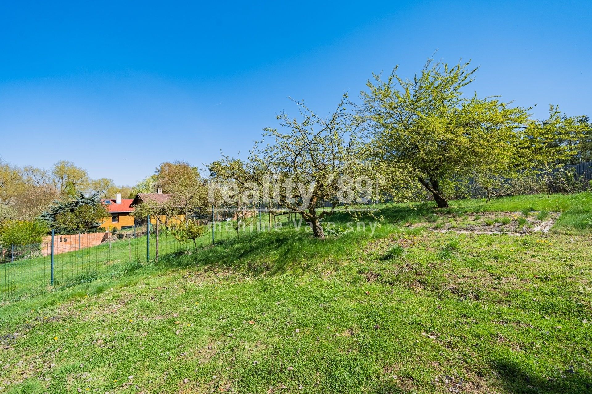 Prodej pozemku 3305 m² - foto 6