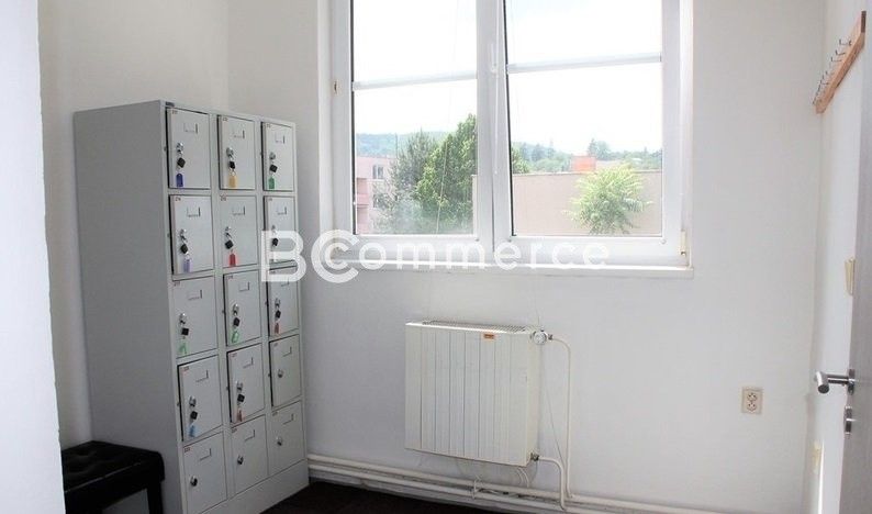 Pronájem komerčního prostoru 90 m² - foto 9