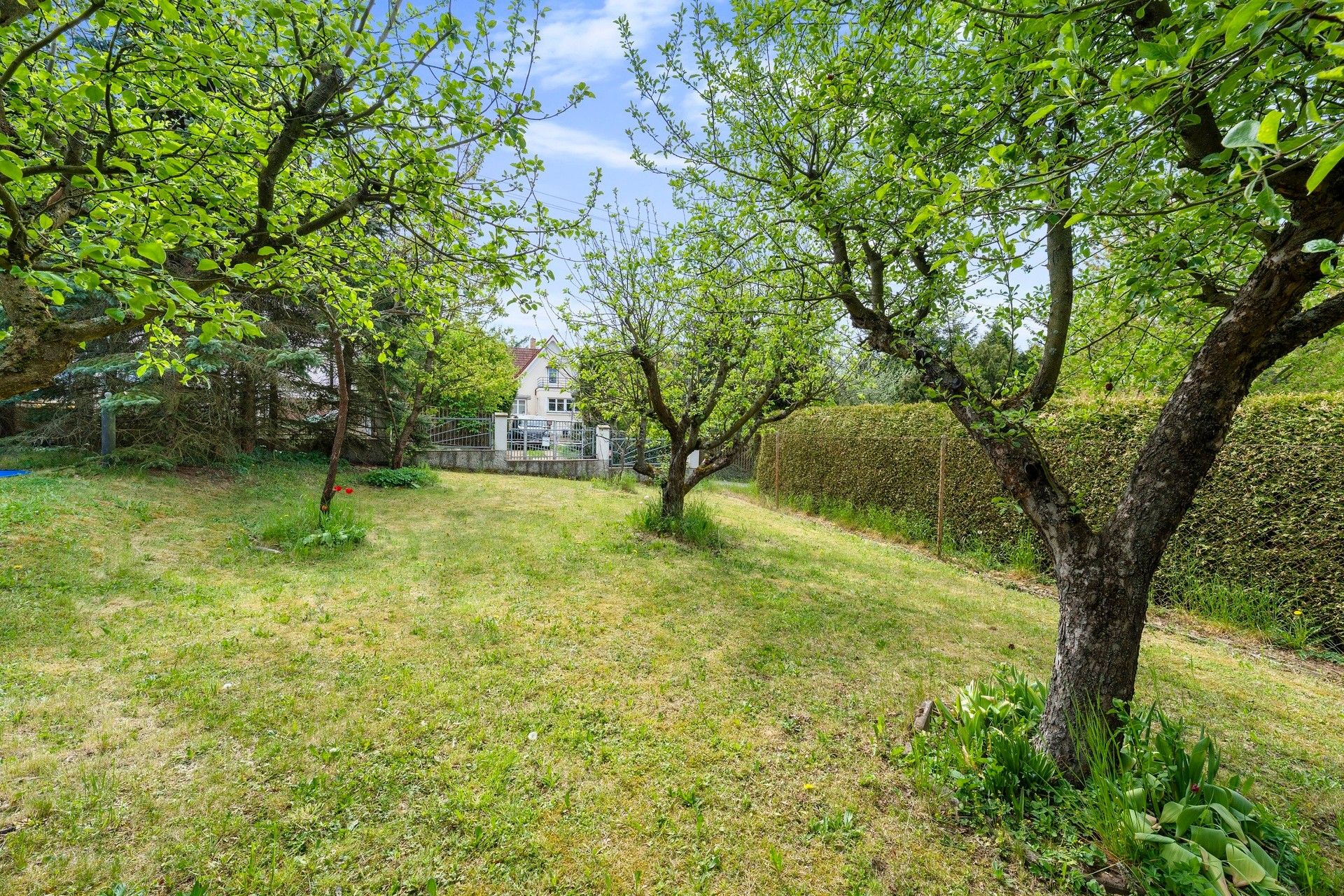 Prodej domu 239 m² - foto 21