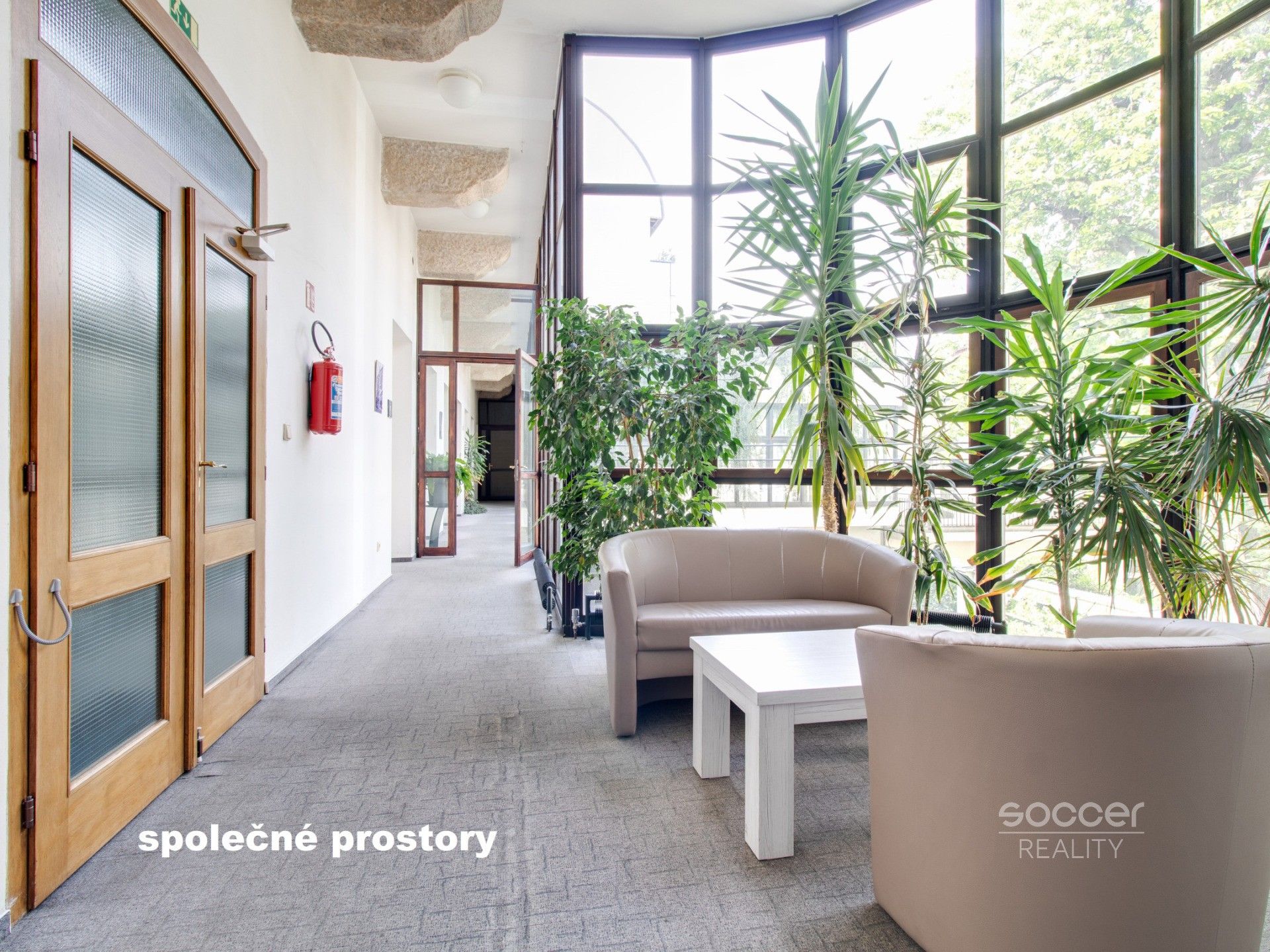 Pronájem komerčního prostoru 68 m² - foto 6