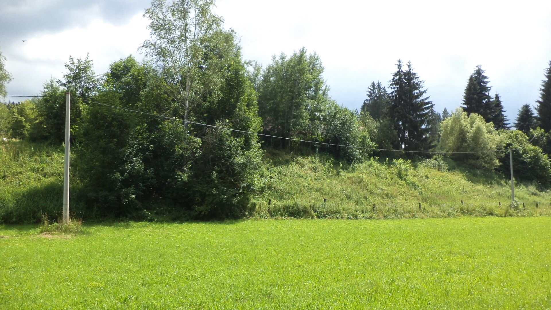 Prodej nemovitosti 3601 m² - foto 3