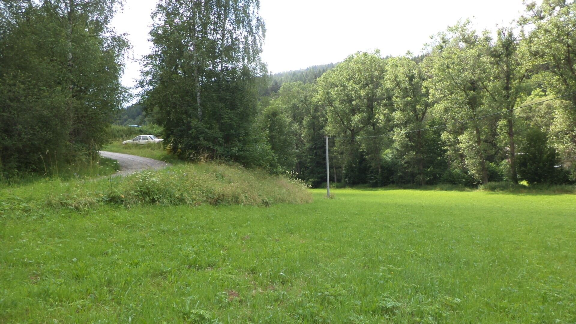 Prodej nemovitosti 3601 m² - foto 2