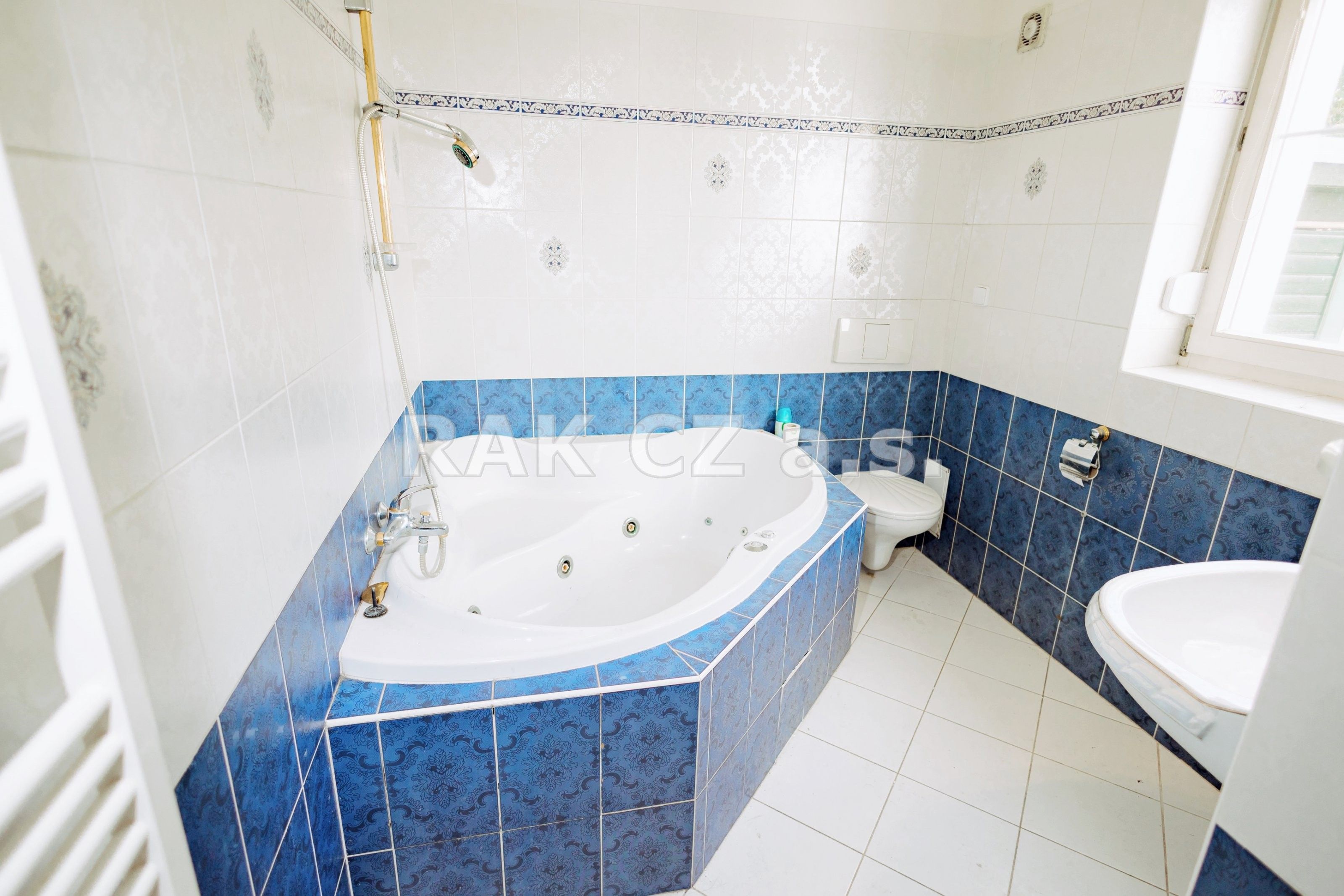 Prodej domu 577 m² - foto 10