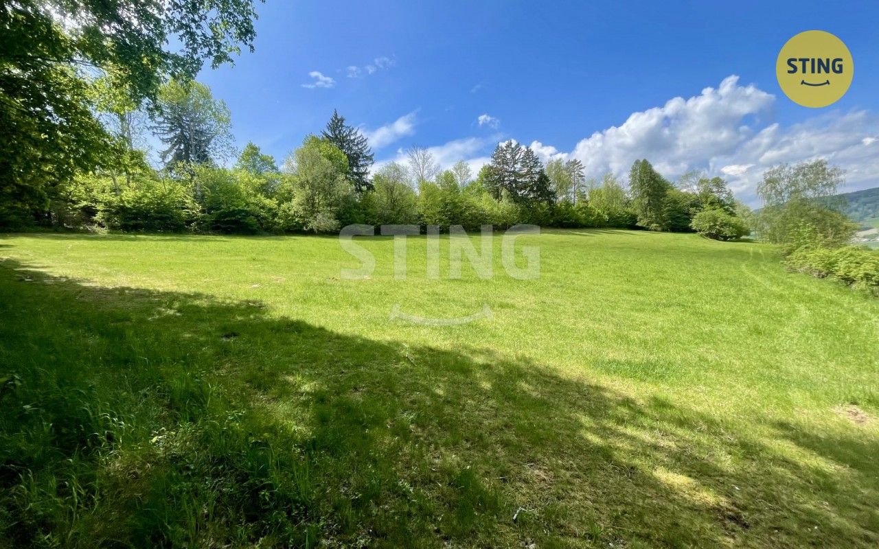 Prodej pozemku 16440 m² - foto 3
