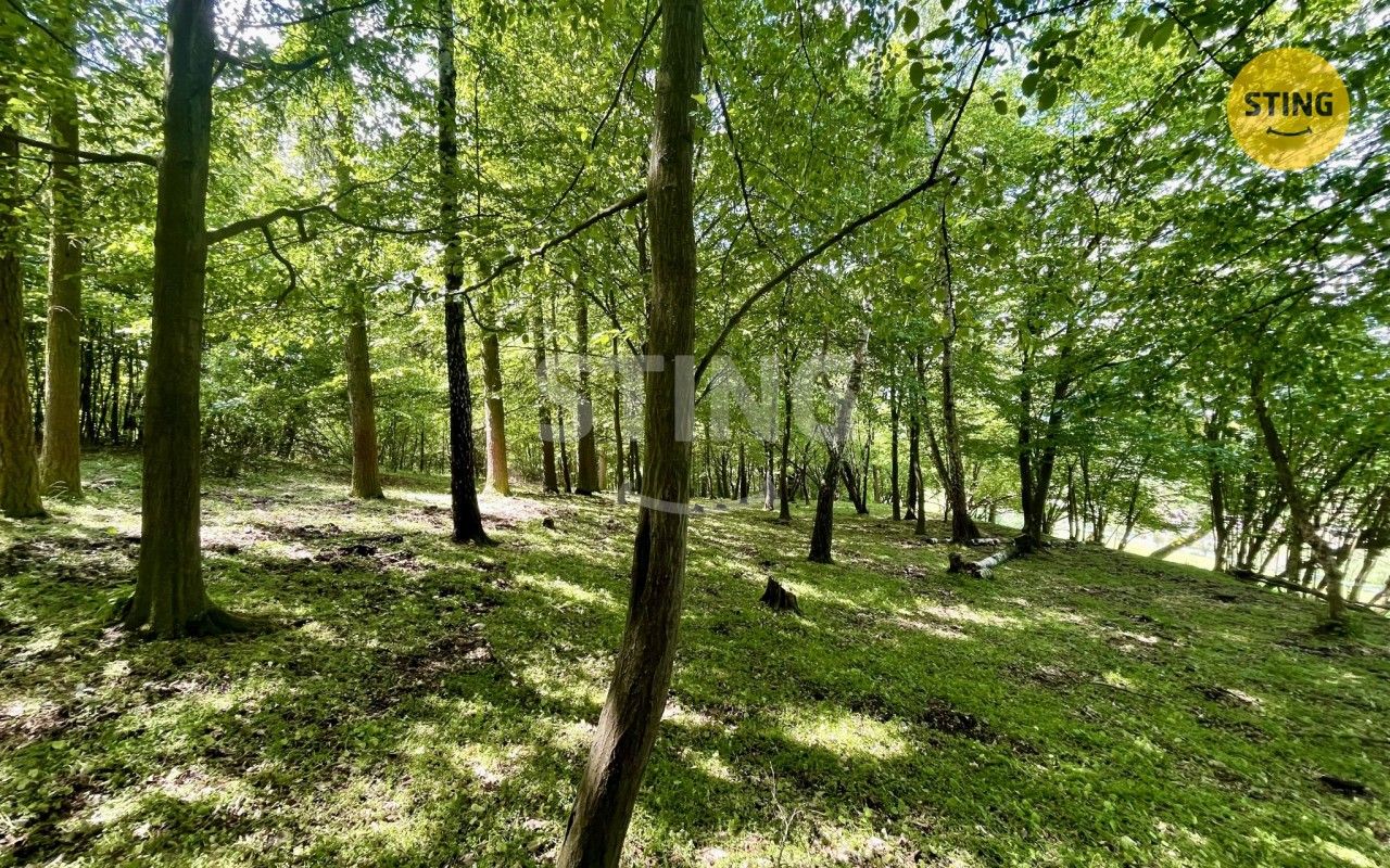 Prodej pozemku 16440 m² - foto 7