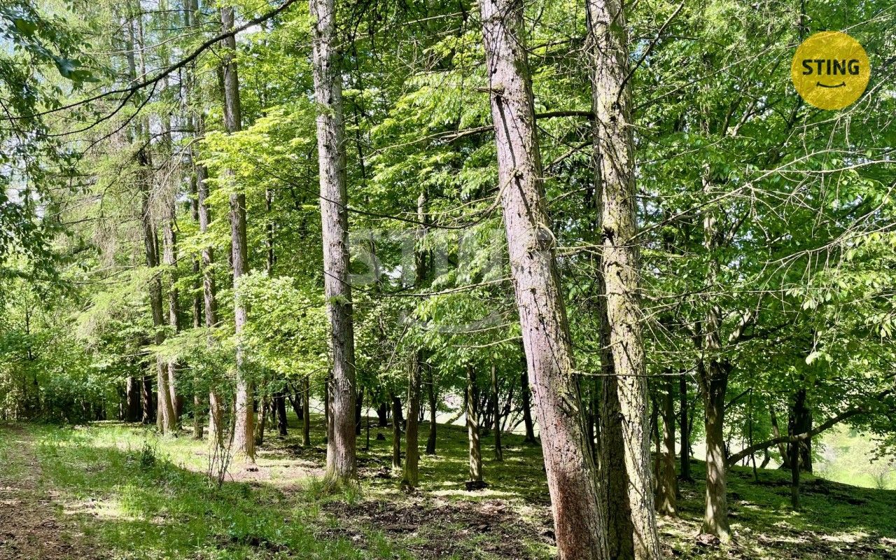 Prodej pozemku 16440 m² - foto 8