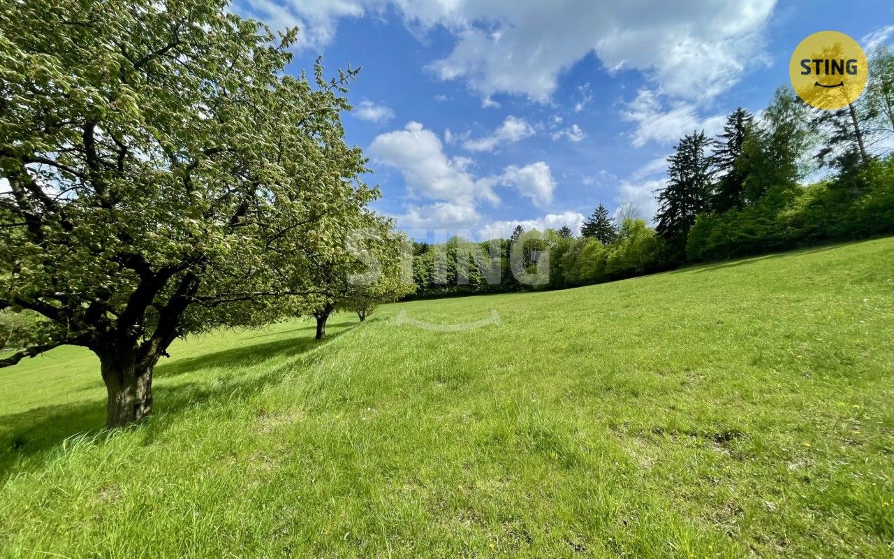 Prodej pozemku 16440 m² - foto 5
