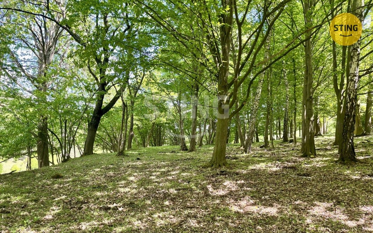 Prodej pozemku 16440 m² - foto 9