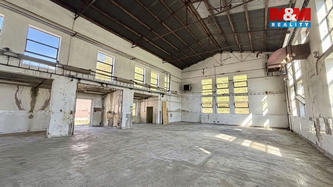 Pronájem komerčního prostoru 240 m² - foto 4