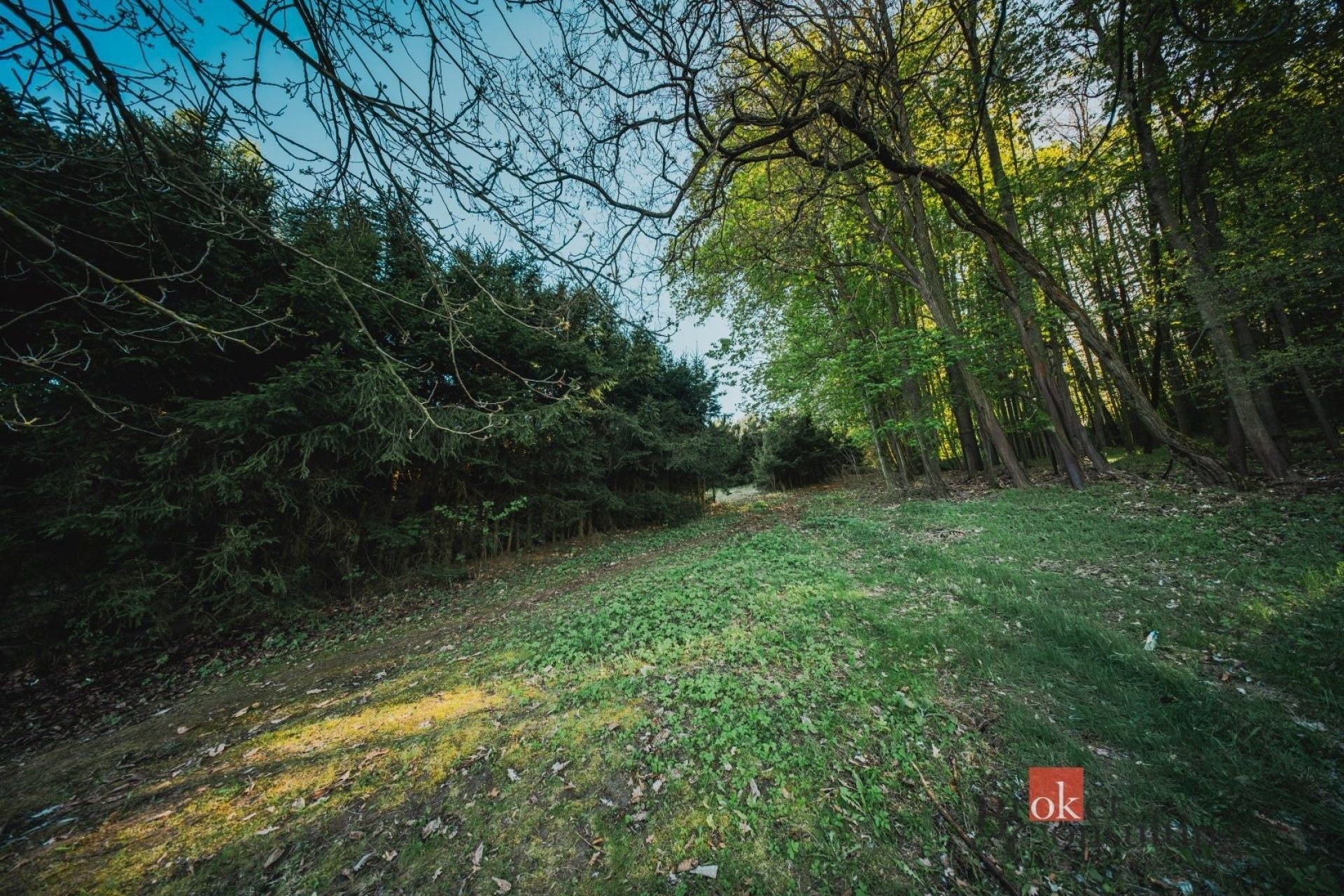 Prodej pozemku 1284 m² - foto 27