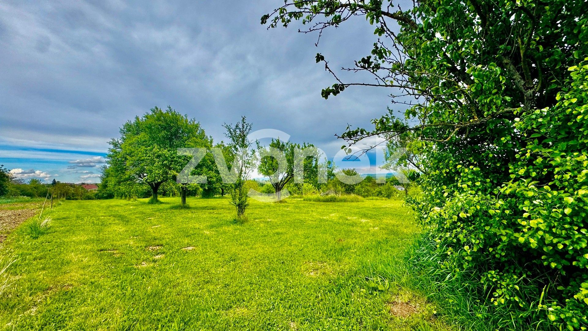 Prodej pozemku 2143 m² - foto 4