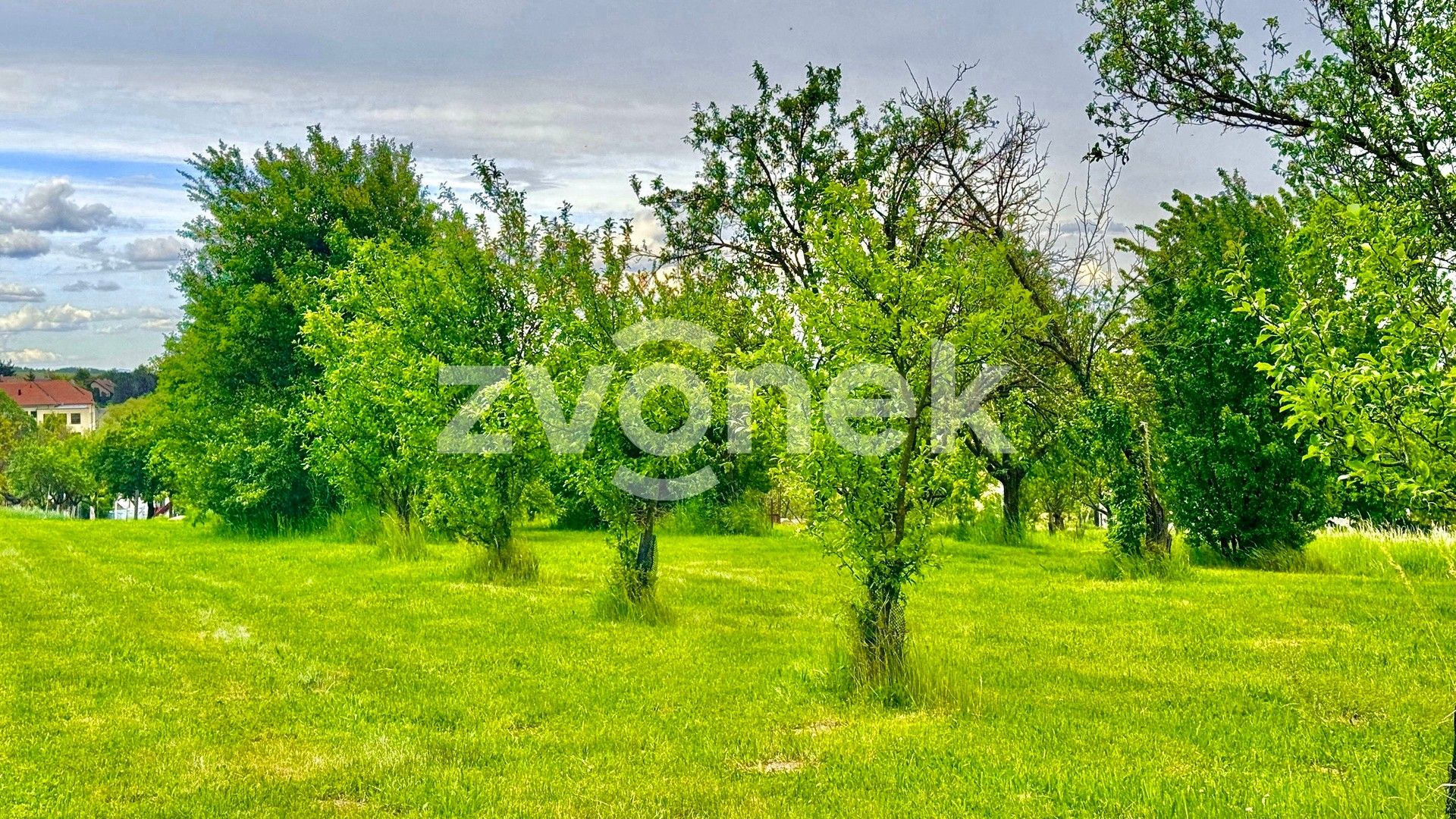 Prodej pozemku 2143 m² - foto 8