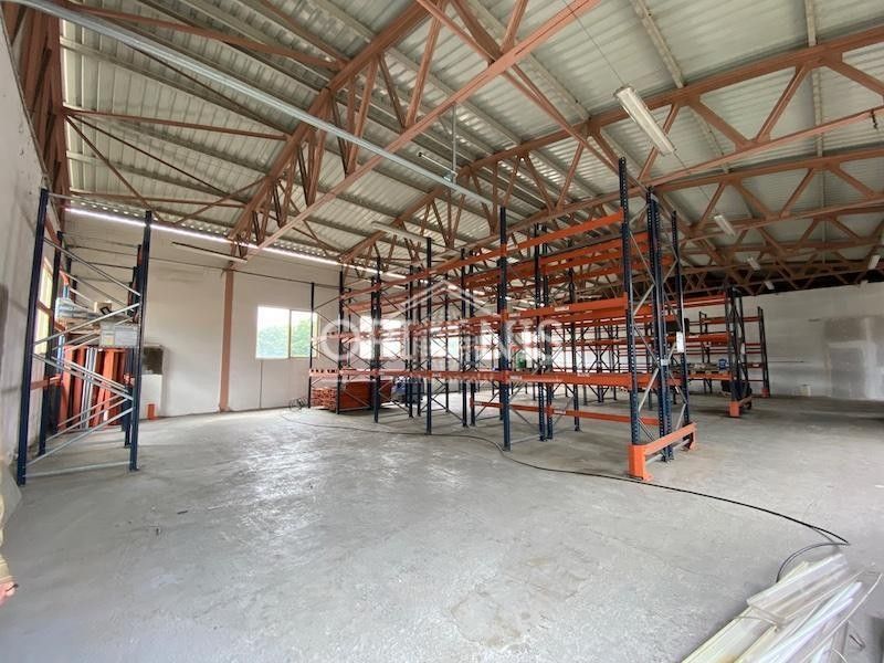 Pronájem komerčního prostoru 335 m² - foto 3