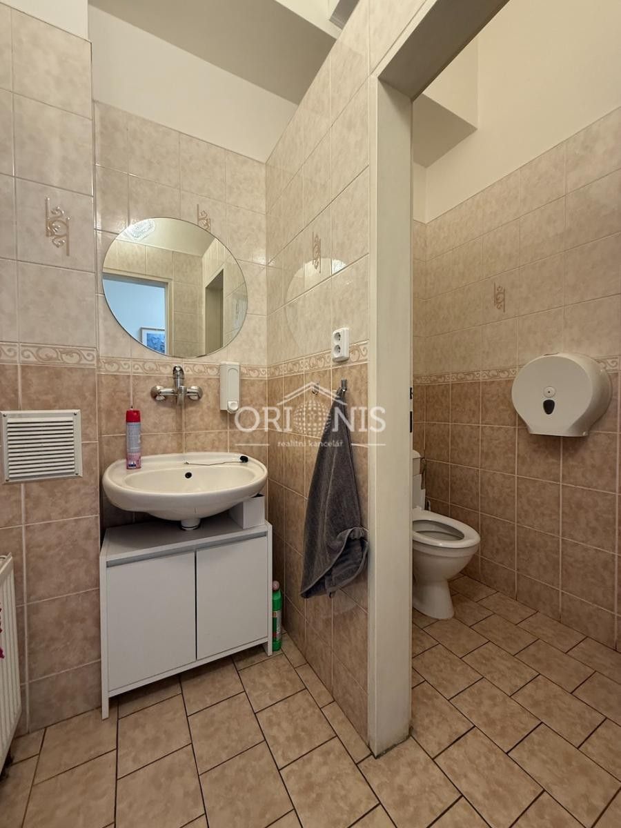 Pronájem komerčního prostoru 217 m² - foto 16