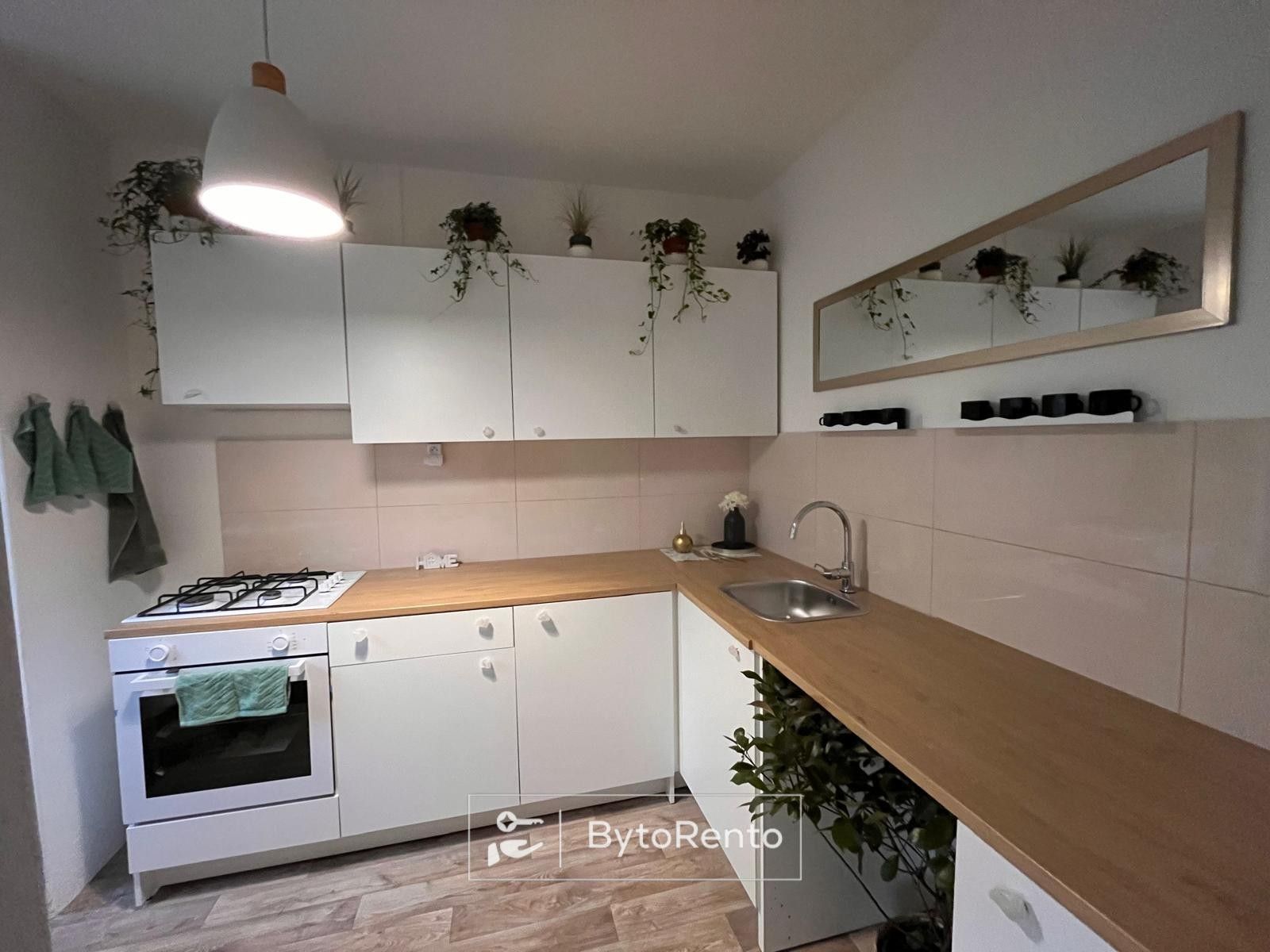 Prodej bytu 2+1 44 m² - foto 3
