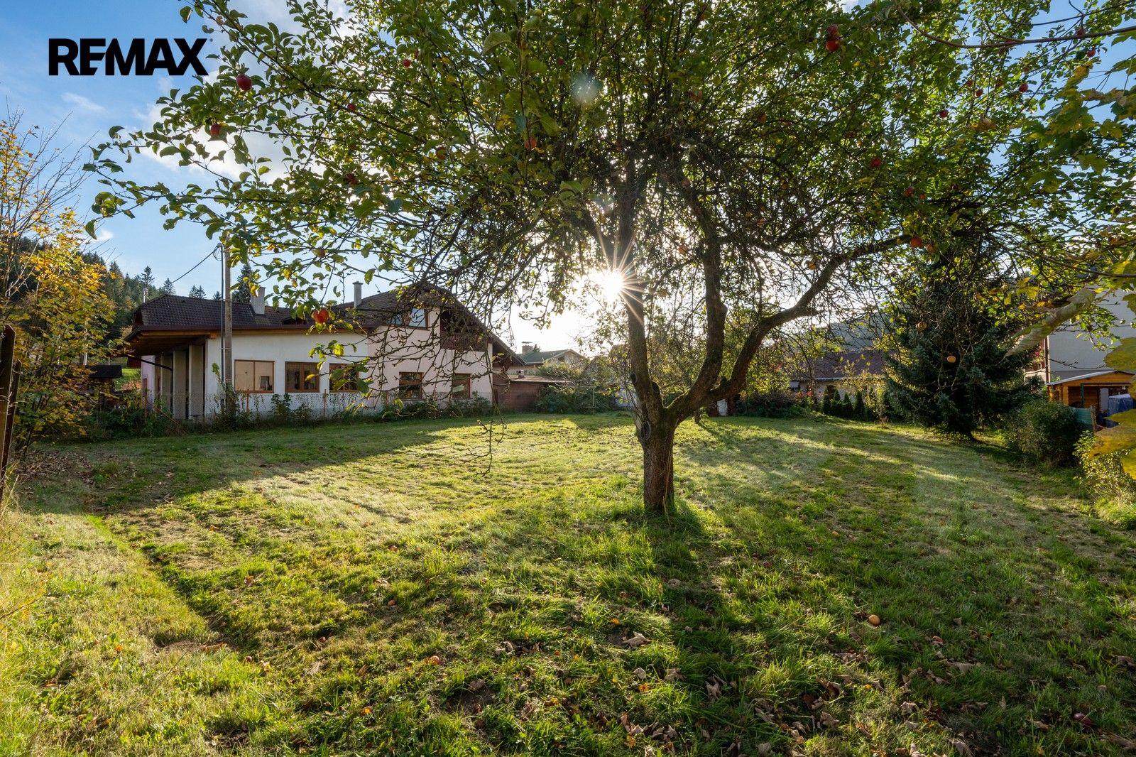 Prodej pozemku 737 m² - foto 5