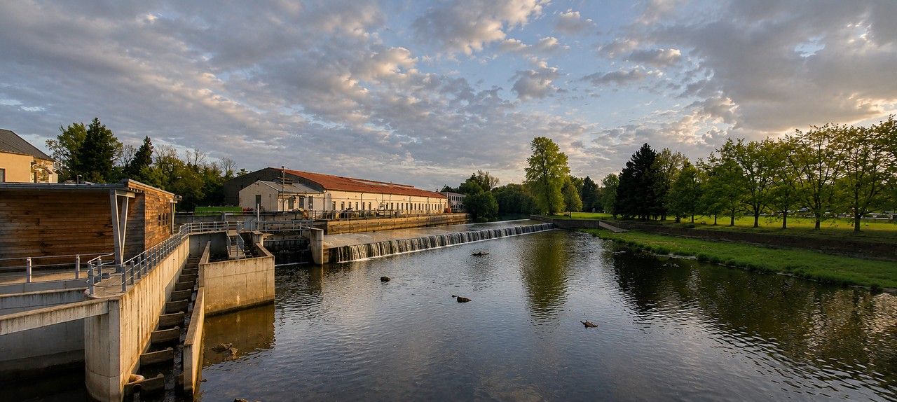 Prodej nemovitosti 700 m² - foto 6