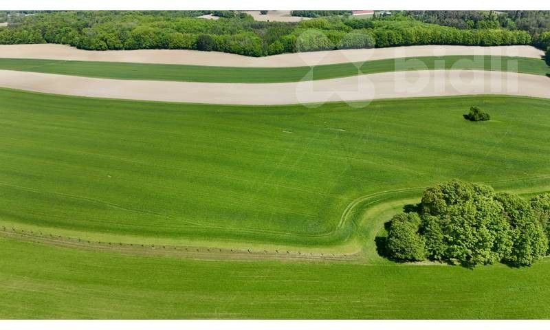 Pronájem pozemku 11105 m² - foto 4