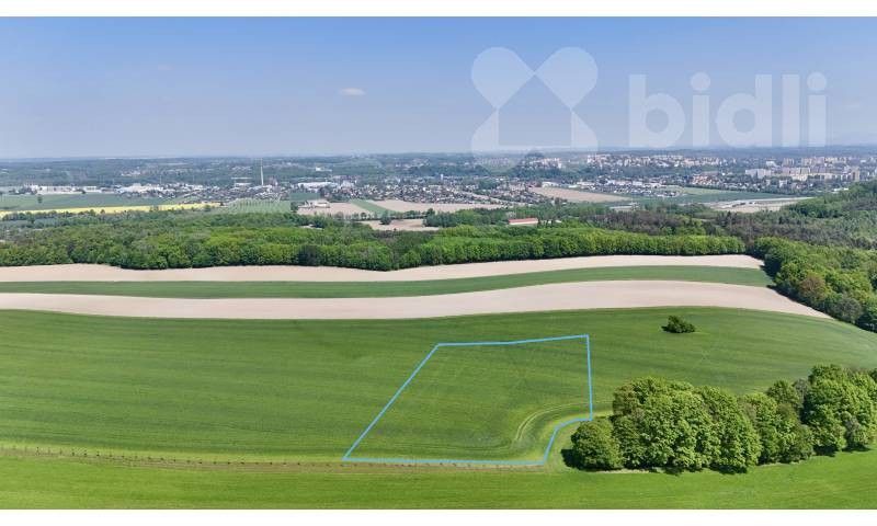Pronájem pozemku 11105 m² - foto 6