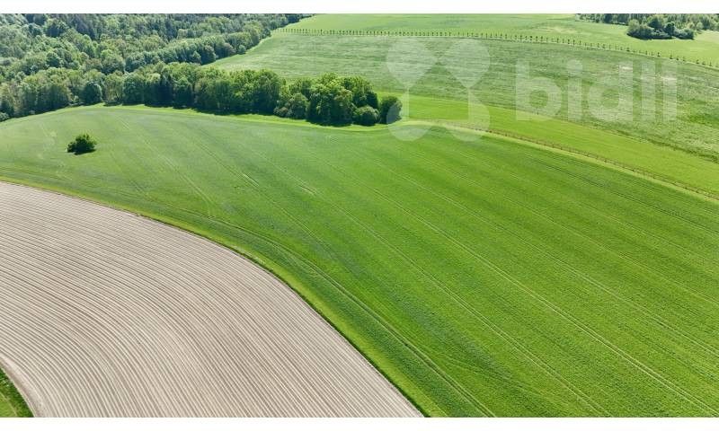 Pronájem pozemku 11105 m² - foto 3