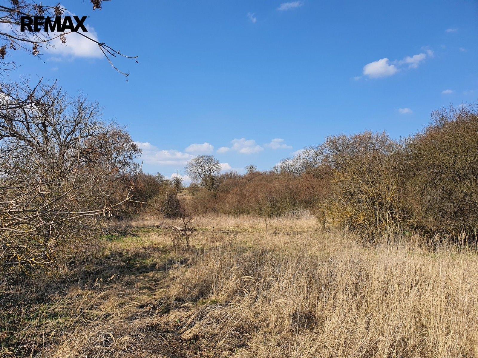 Prodej pozemku 9203 m² - foto 1