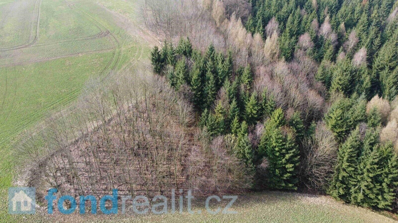 Prodej pozemku 7831 m² - foto 3