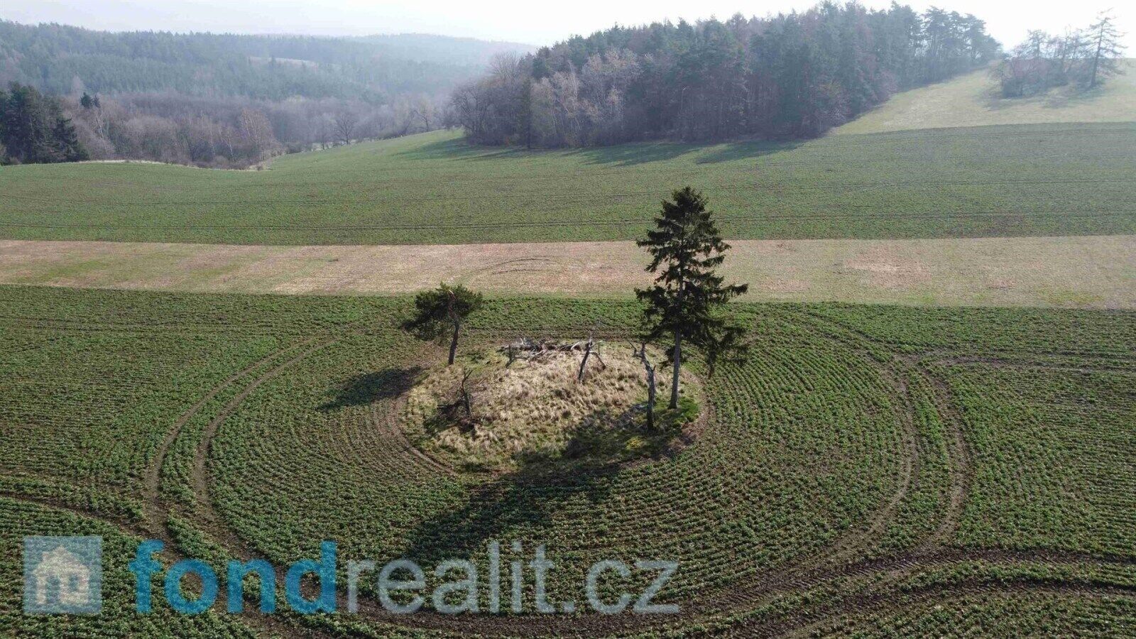 Prodej pozemku 7831 m² - foto 6
