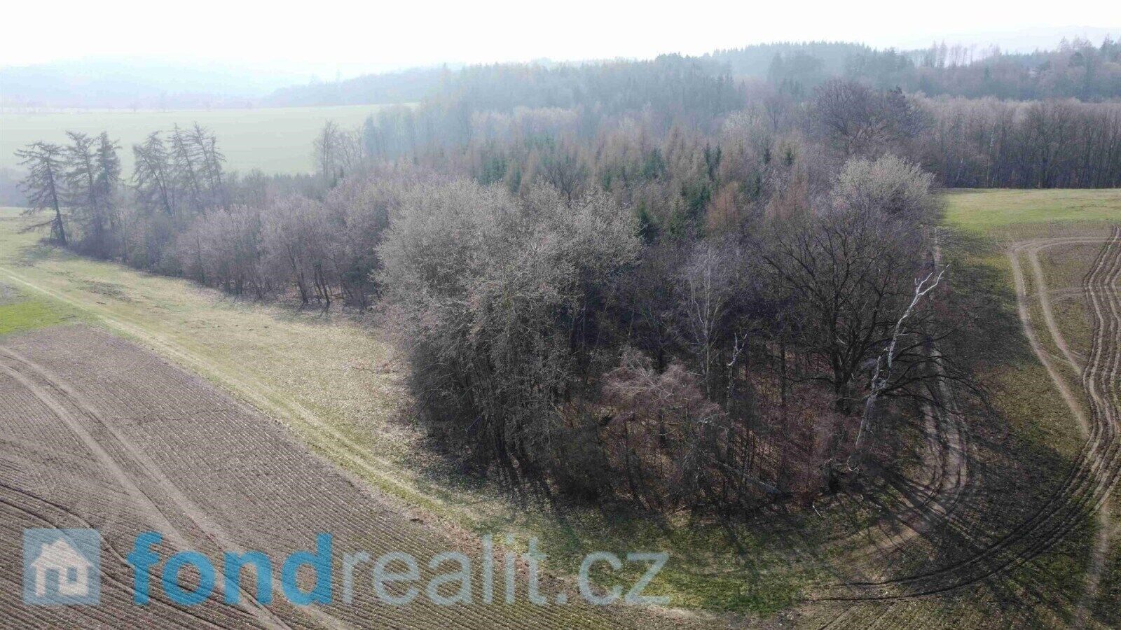 Prodej pozemku 7831 m² - foto 8