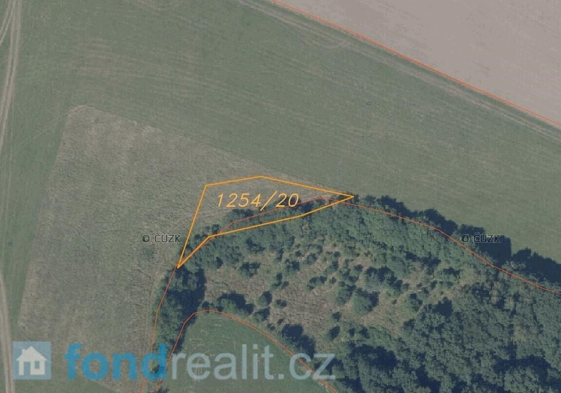 Prodej pozemku 7831 m² - foto 9