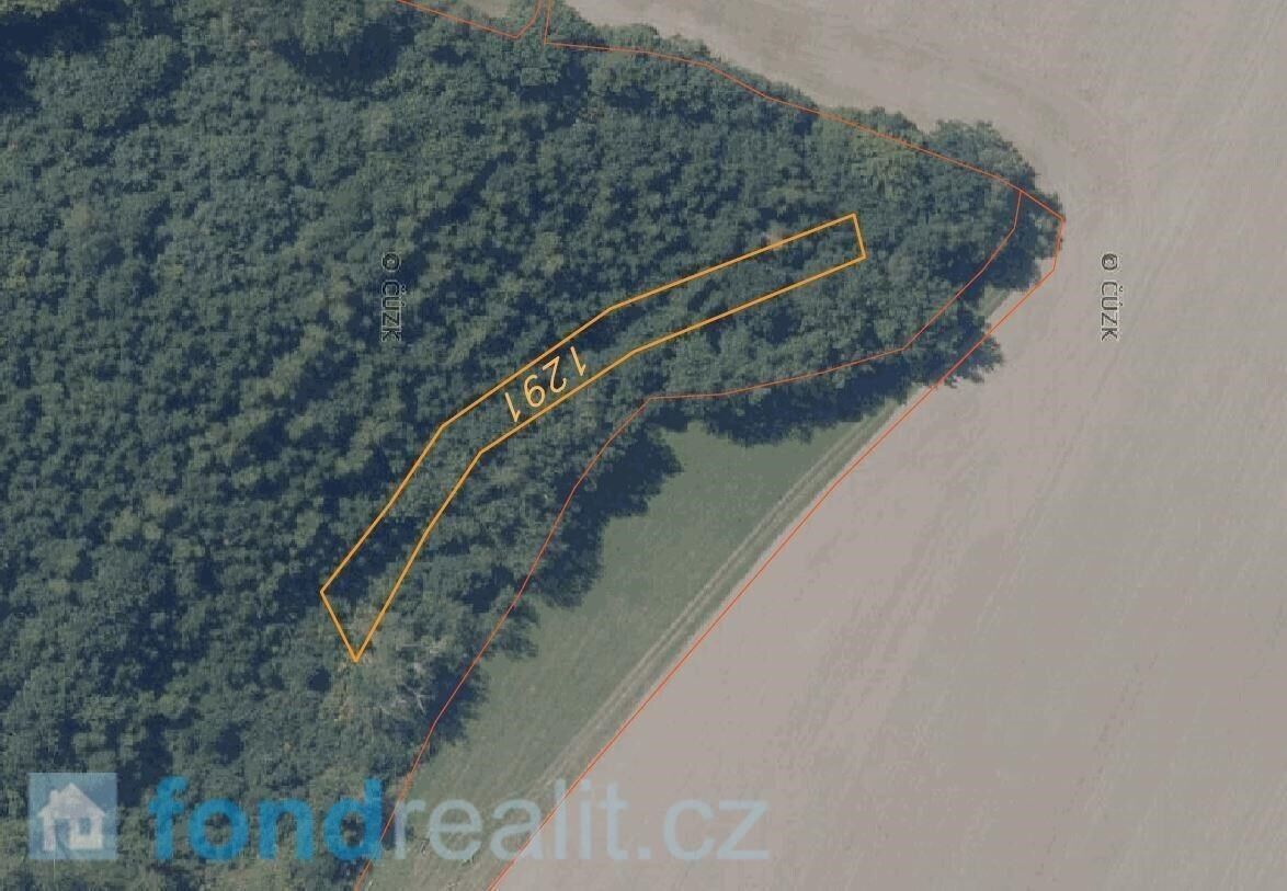 Prodej pozemku 7831 m² - foto 11