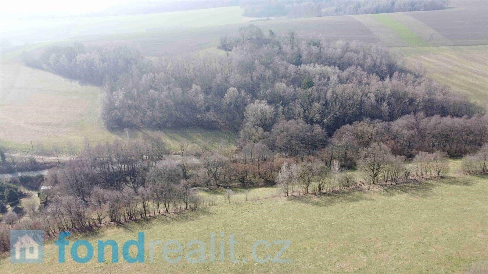 Prodej pozemku 7831 m² - foto 12