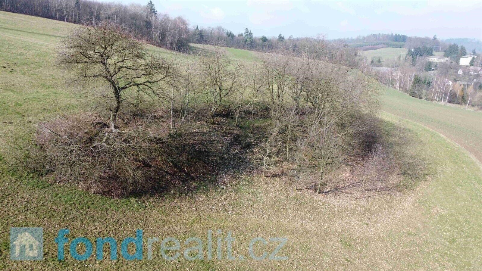 Prodej pozemku 7831 m² - foto 14
