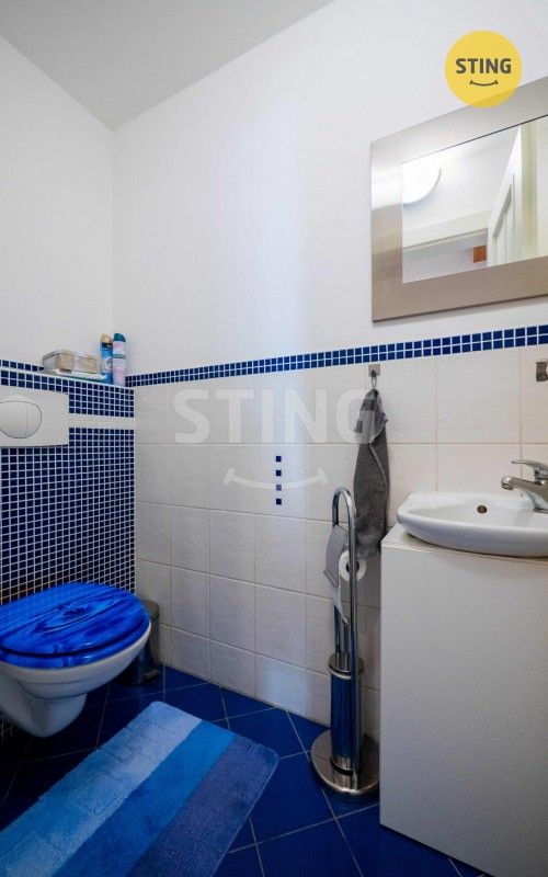 Prodej domu 380 m² - foto 32
