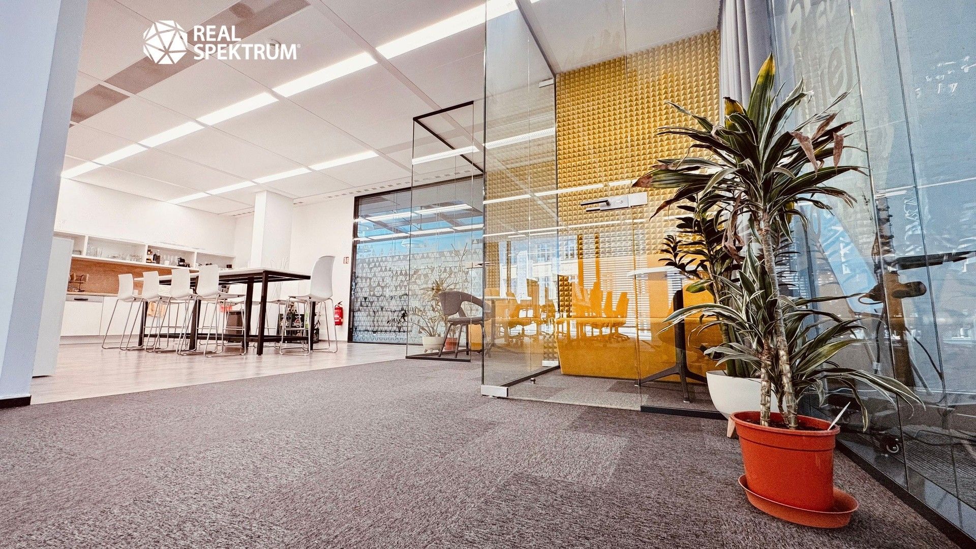 Pronájem komerčního prostoru 257 m² - foto 2