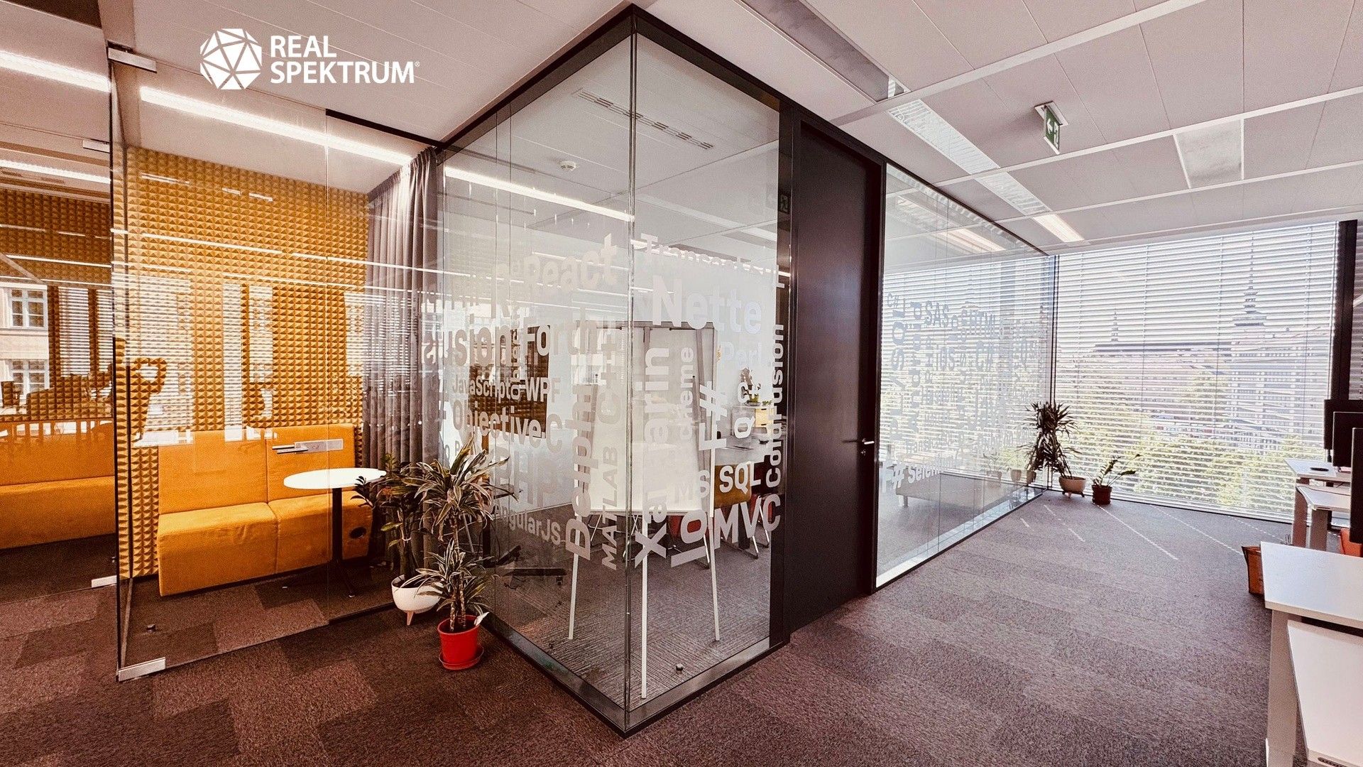 Pronájem komerčního prostoru 257 m² - foto 4