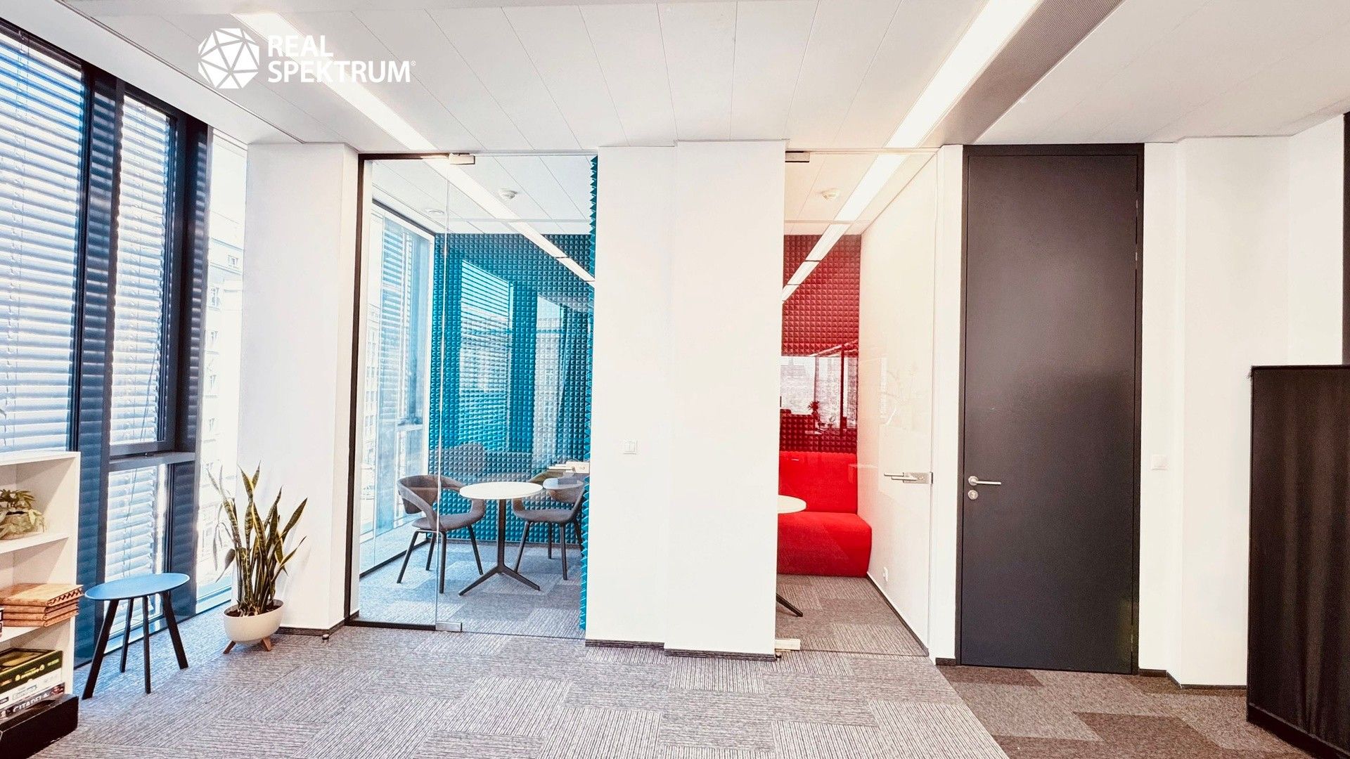Pronájem komerčního prostoru 257 m² - foto 5