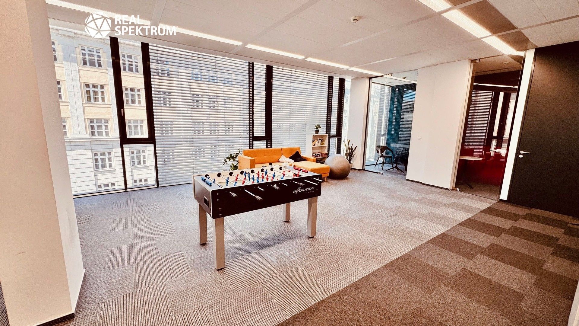 Pronájem komerčního prostoru 257 m² - foto 13