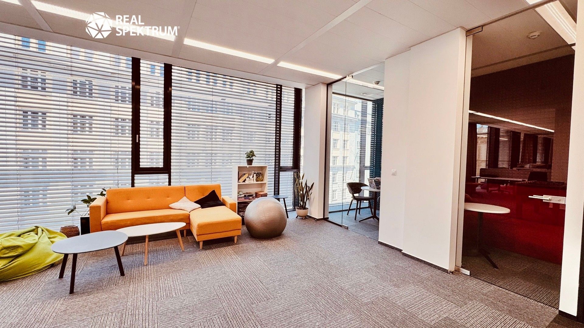 Pronájem komerčního prostoru 257 m² - foto 14