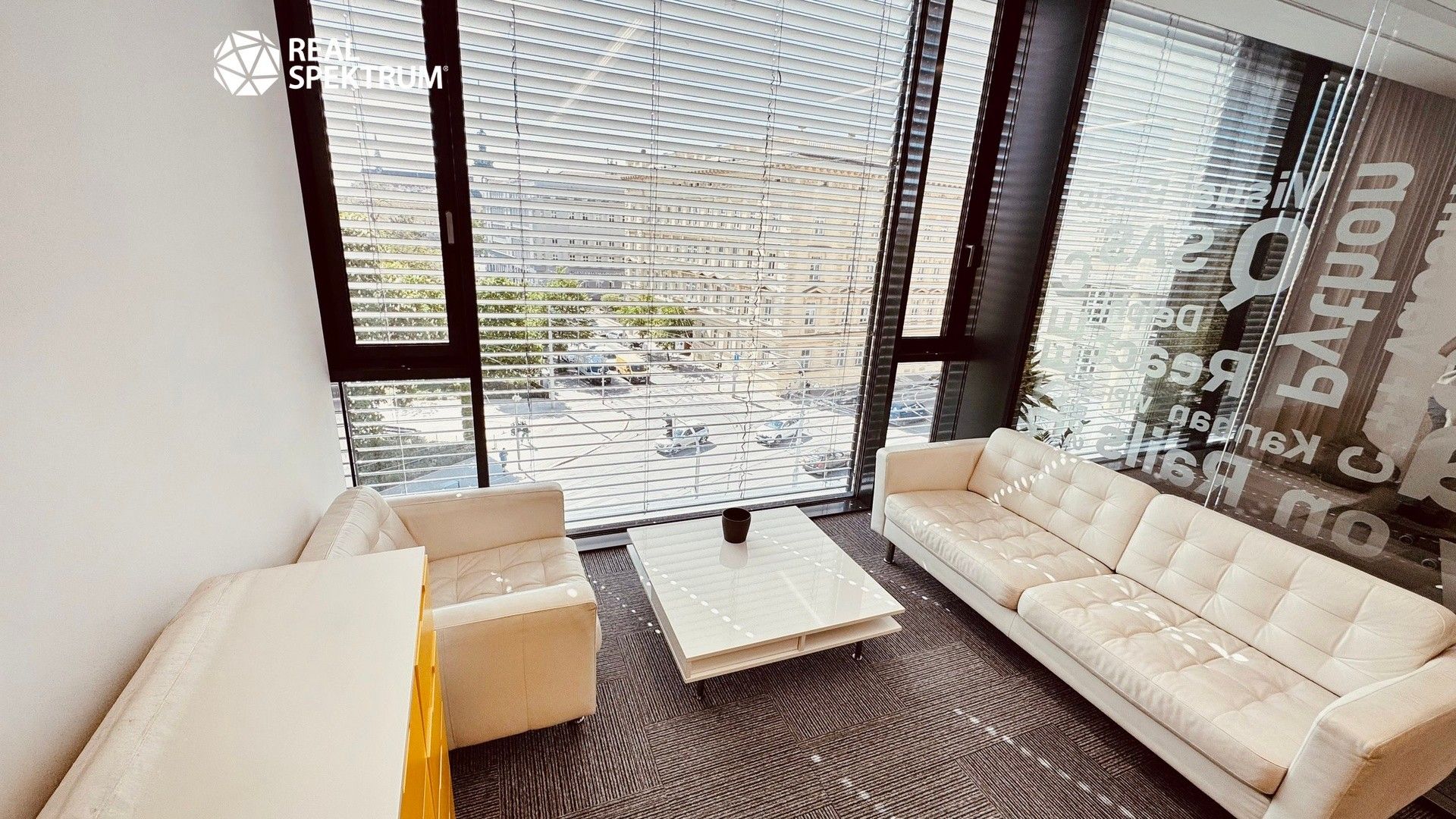 Pronájem komerčního prostoru 257 m² - foto 16