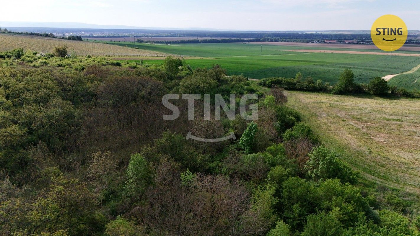 Prodej nemovitosti 1561 m² - foto 4