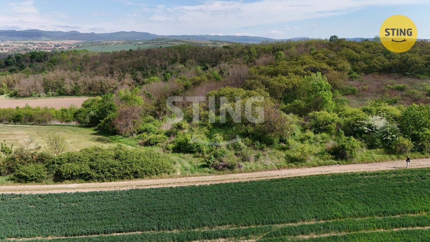 Prodej nemovitosti 1561 m² - foto 3