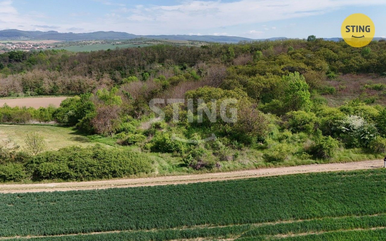 Prodej nemovitosti 1561 m² - foto 3