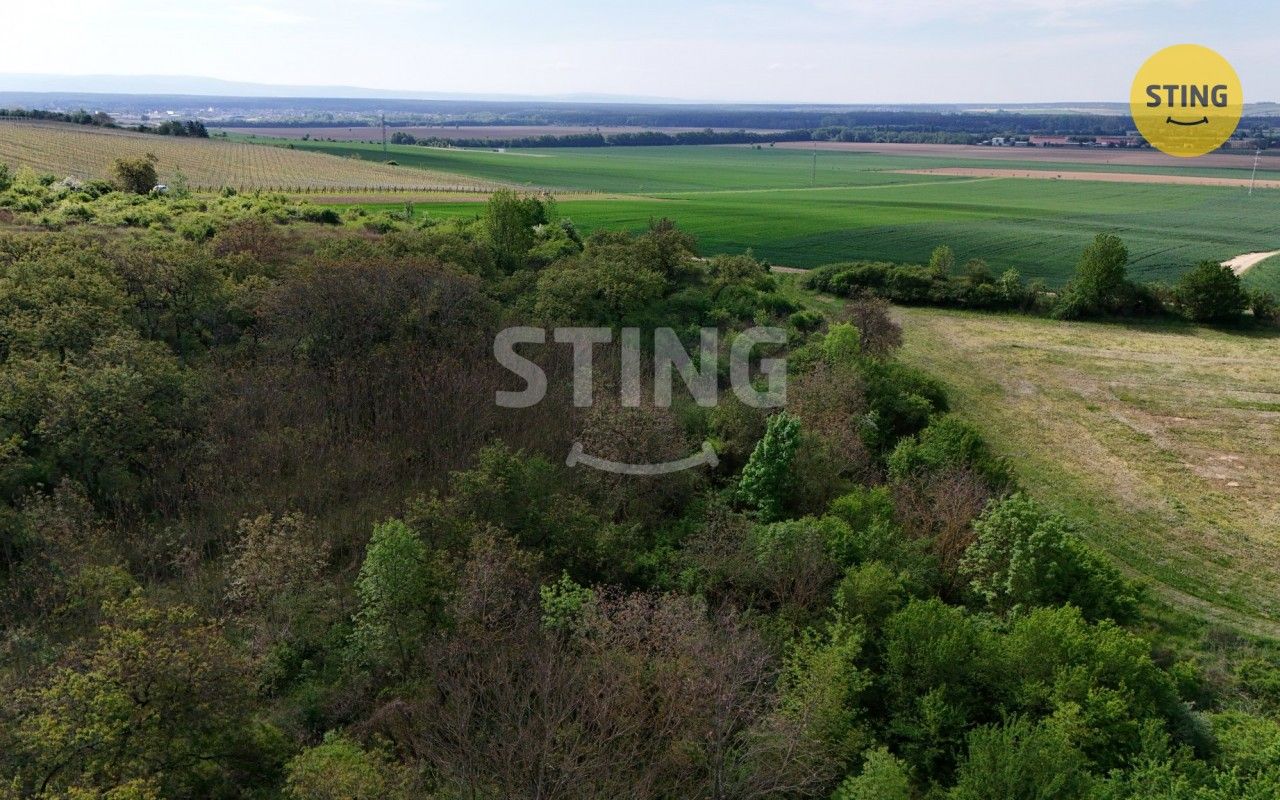 Prodej nemovitosti 1561 m² - foto 4