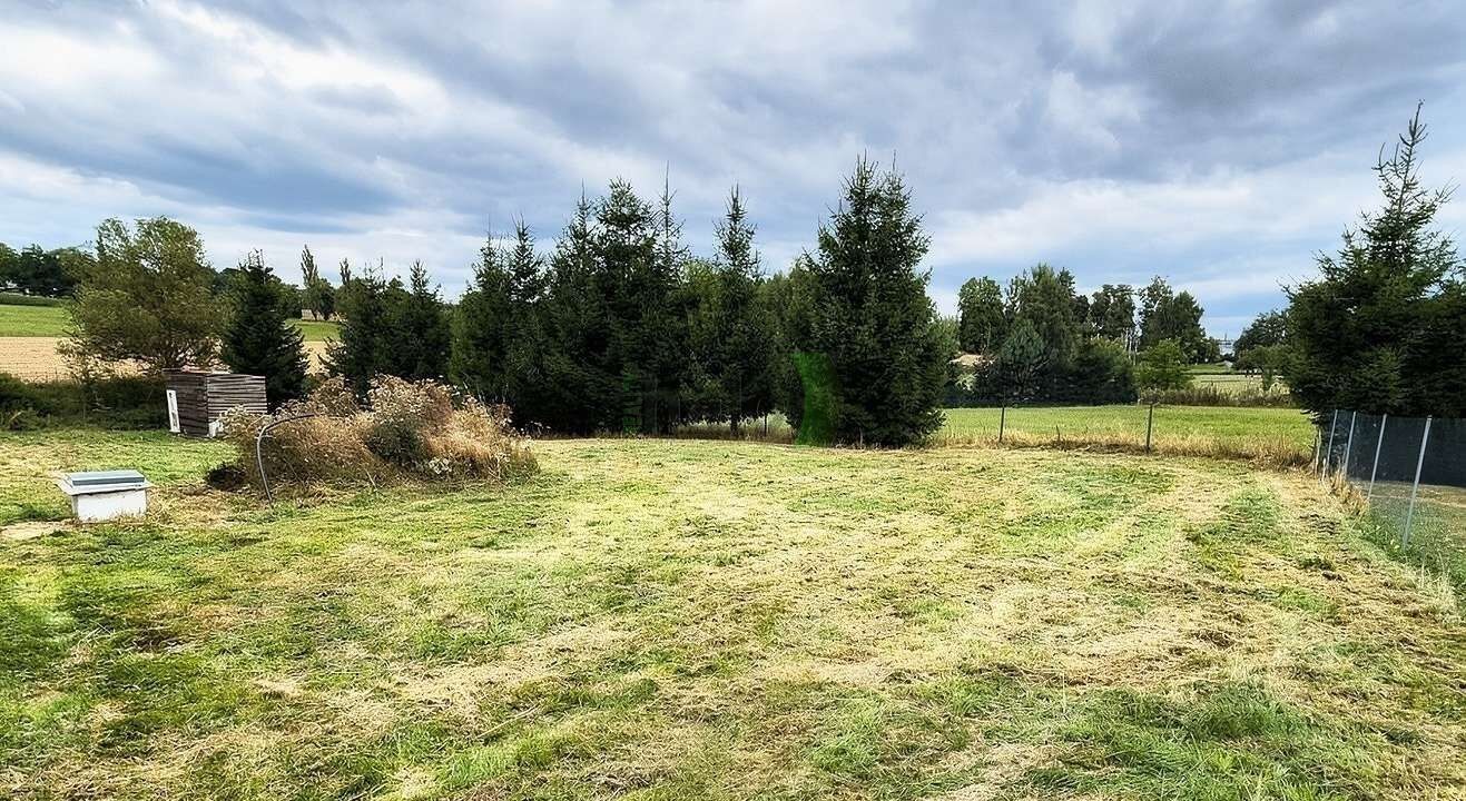 Pronájem pozemku 960 m² - foto 1